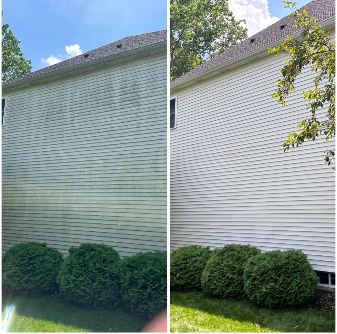 Before and after: algae streaking removed from house siding