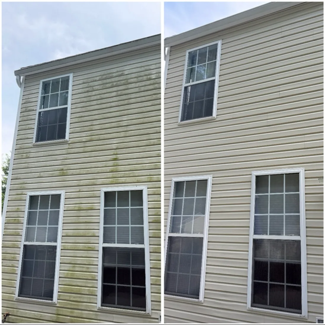 Before and after: house siding soft washing